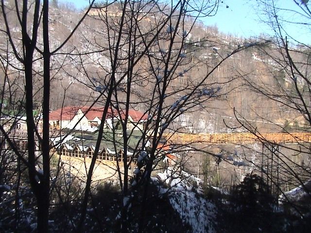 DSC00854.jpg