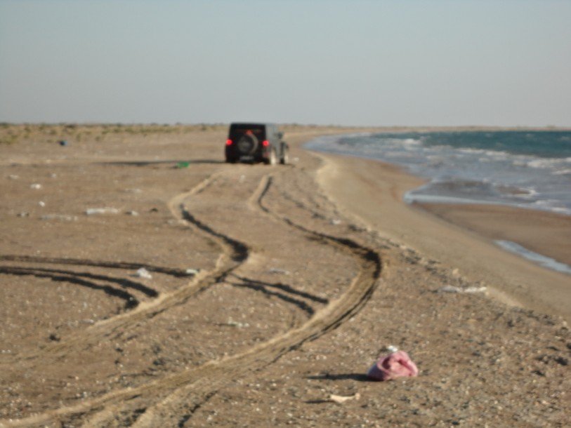 DSC00864.jpg