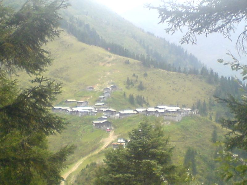 DSC00935.jpg