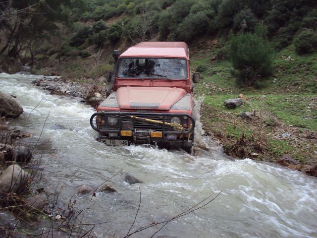 DSC00947.jpg