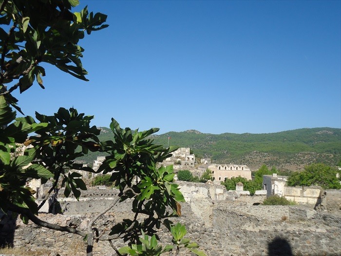 DSC01007.JPG