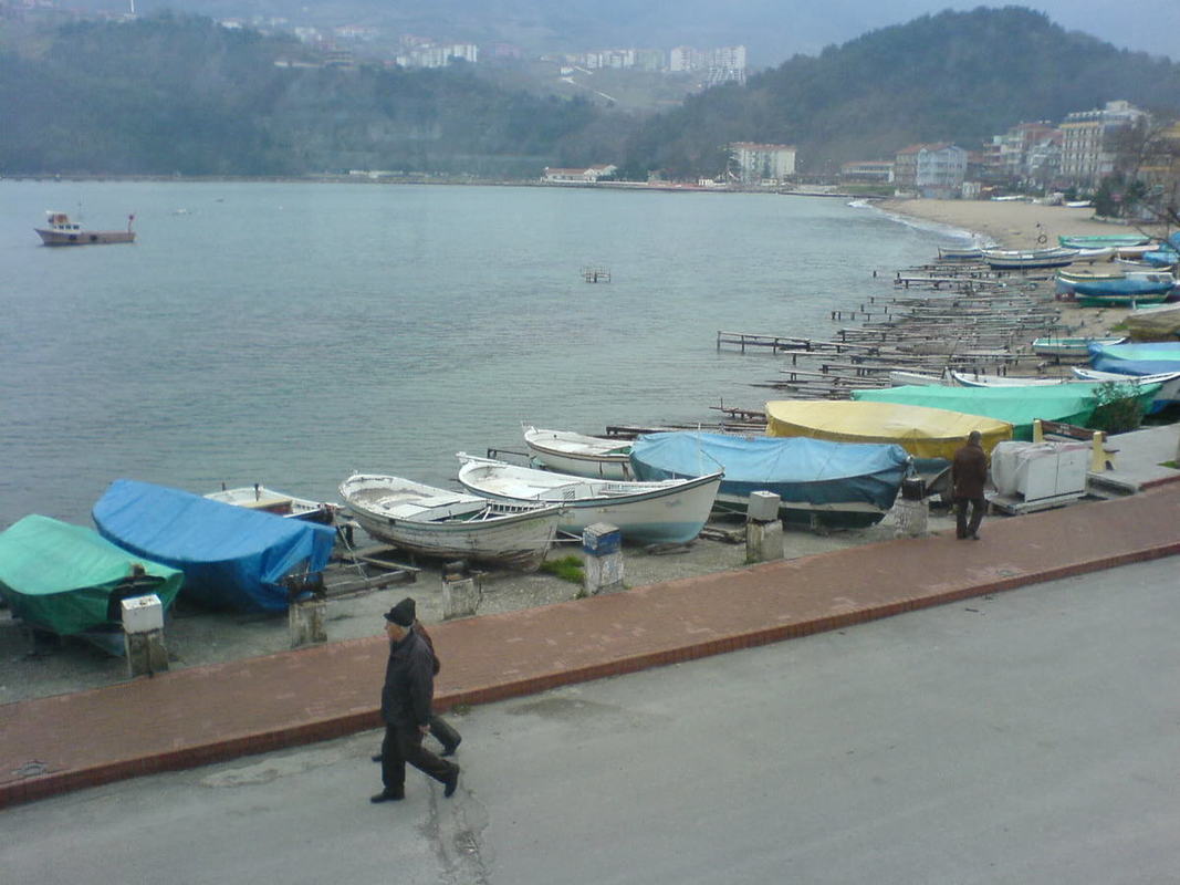 DSC01109.jpg