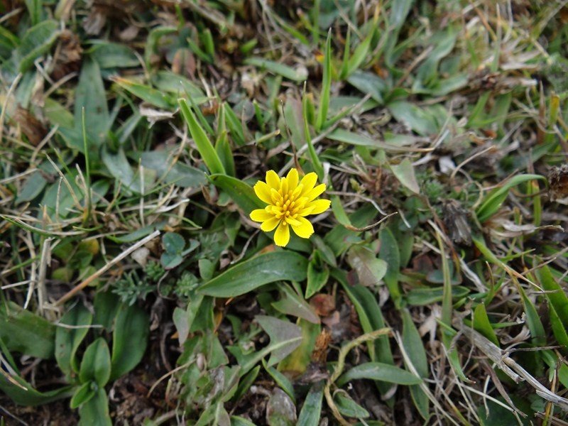 DSC01110 (Kopyala).JPG