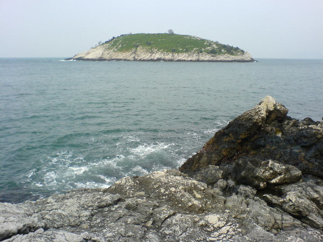 DSC01122.jpg
