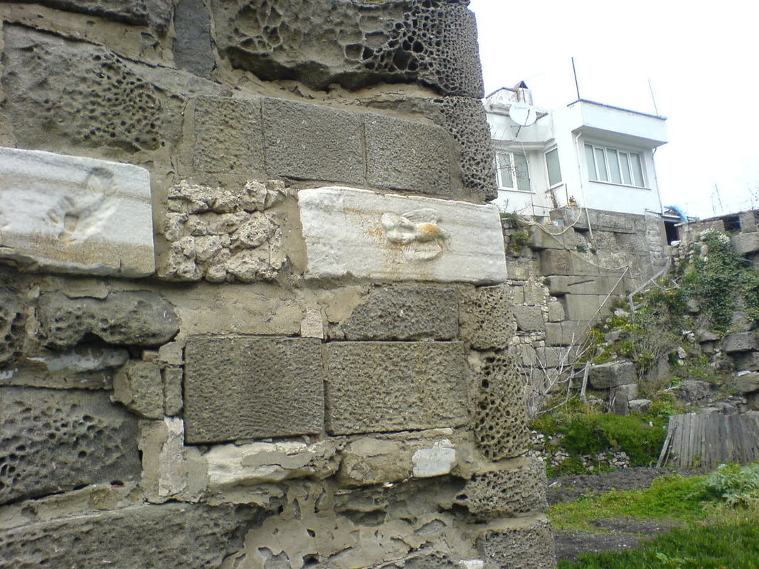 DSC01127.jpg