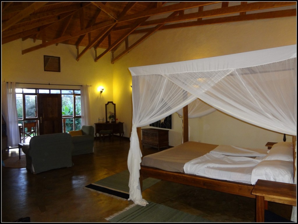 DSC01133 (Large).JPG
