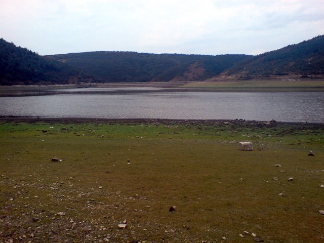DSC01166.jpg