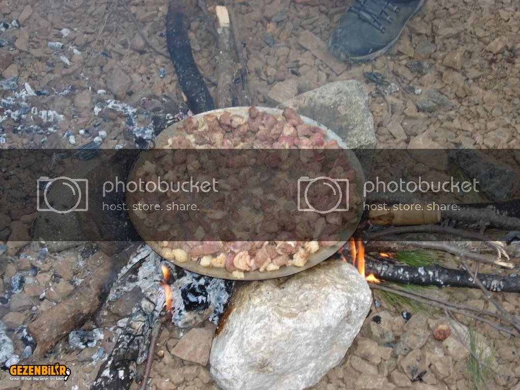 DSC01244.jpg