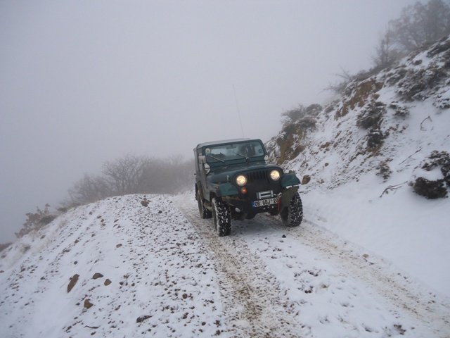 DSC01247.JPG