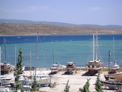 DSC01268.jpg
