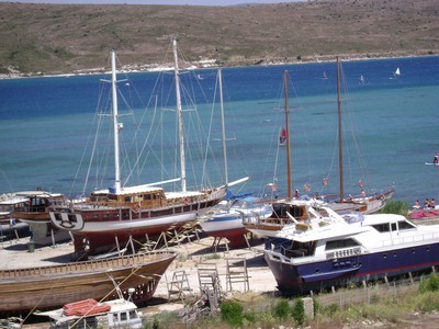 DSC01273.jpg