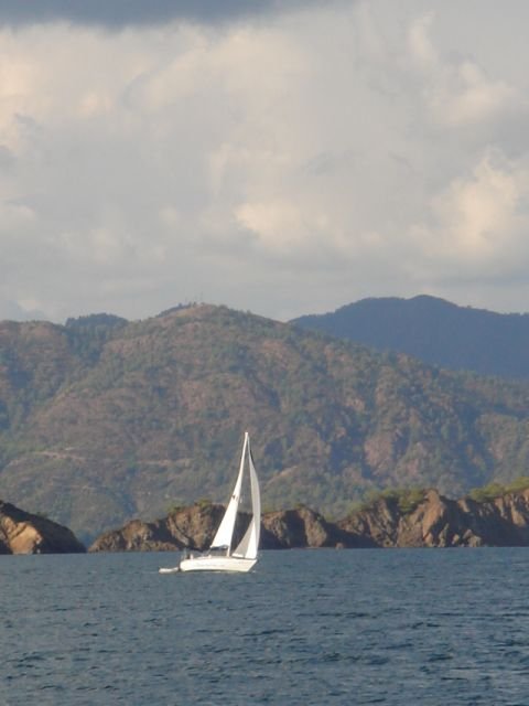 DSC01286.jpg