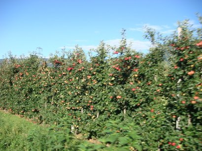 DSC01287_resize.JPG
