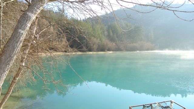 DSC01328.jpg