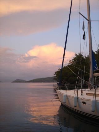 DSC01338.jpg
