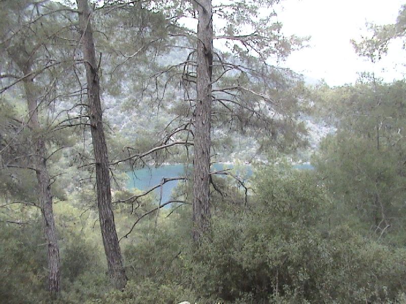 DSC01340.JPG