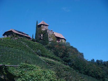 DSC01366_resize.JPG