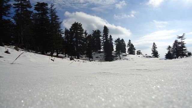 DSC01408.jpg