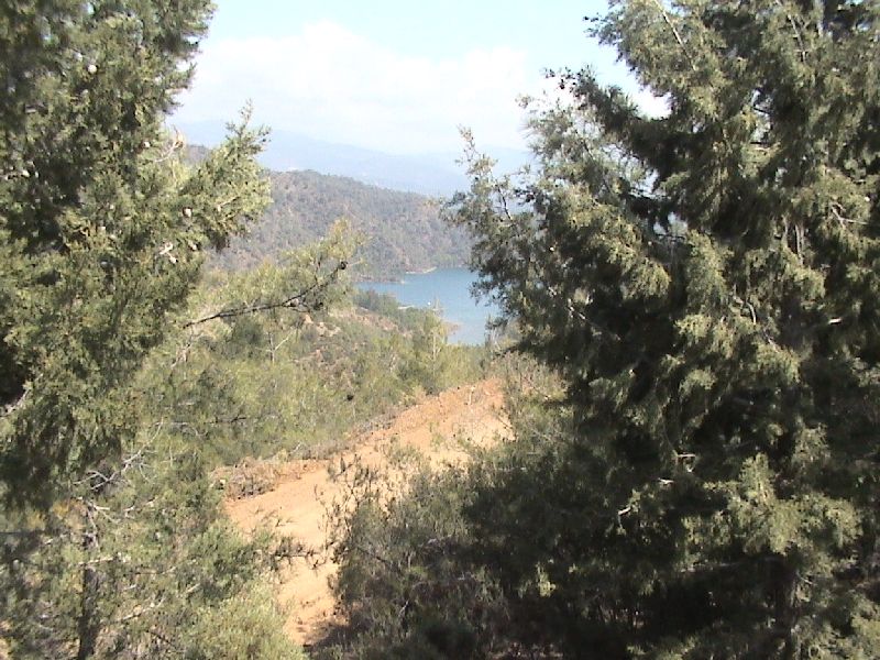 DSC01410.JPG