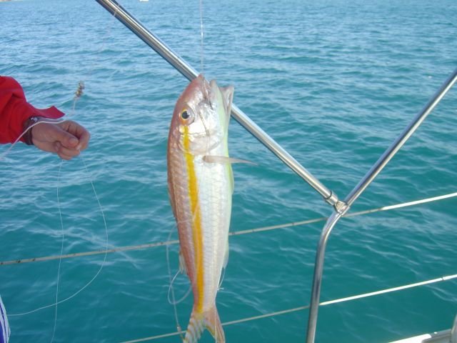 DSC01467.jpg
