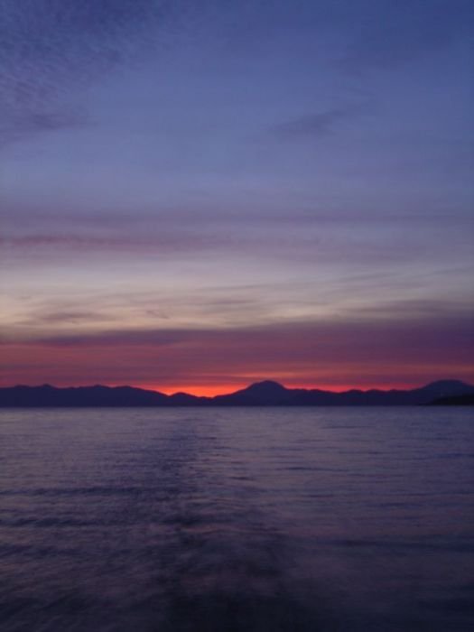 DSC01513.jpg