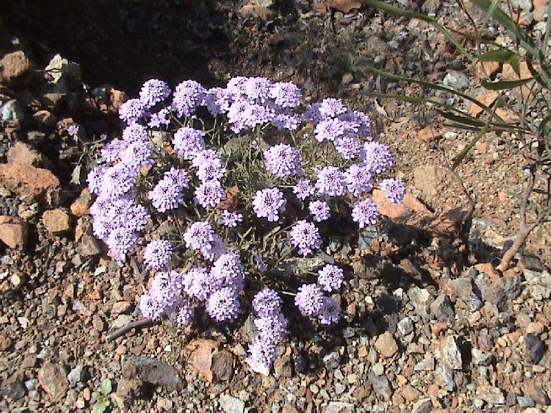 DSC01533.JPG