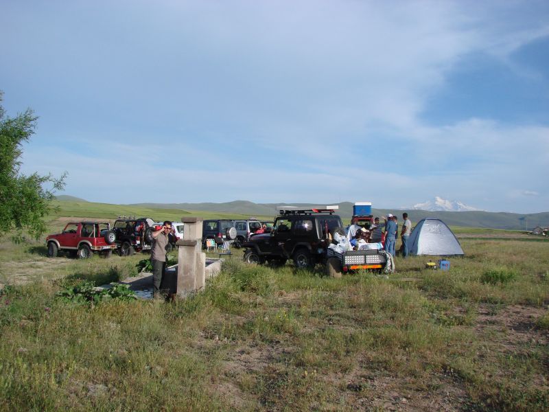 DSC01542.jpg