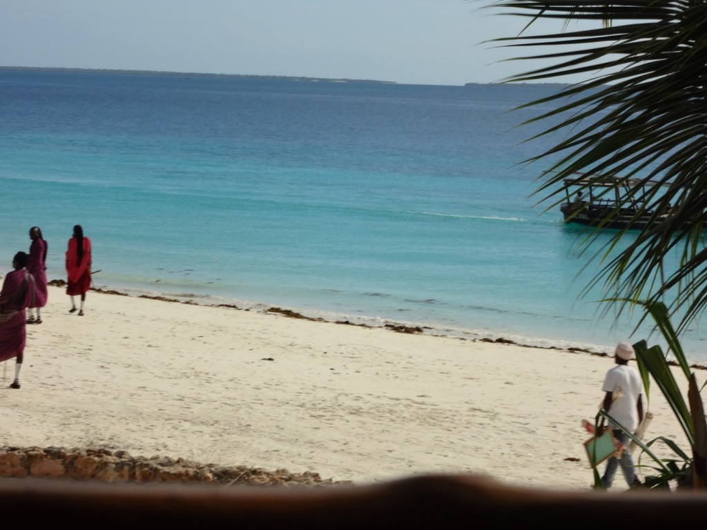 DSC01561 (Large).JPG