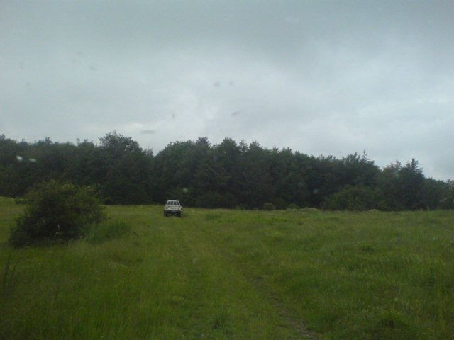 DSC01591.jpg