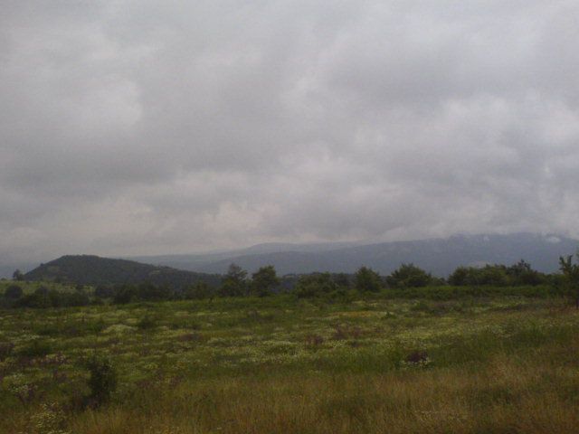 DSC01595.jpg