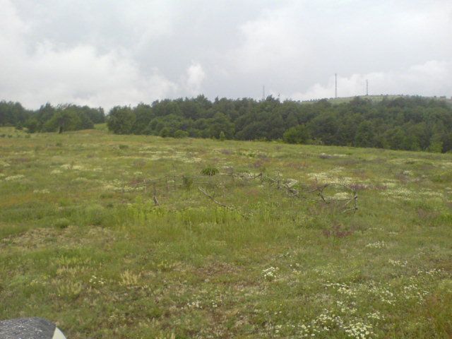 DSC01596.jpg