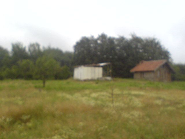 DSC01598.jpg