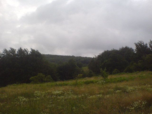 DSC01599.jpg