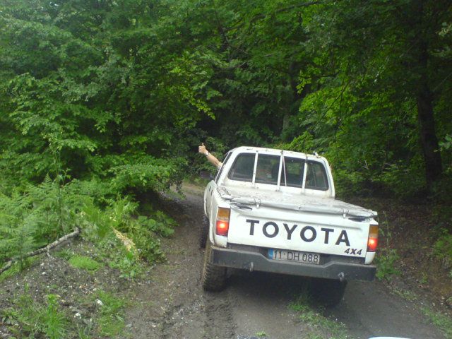 DSC01603.jpg
