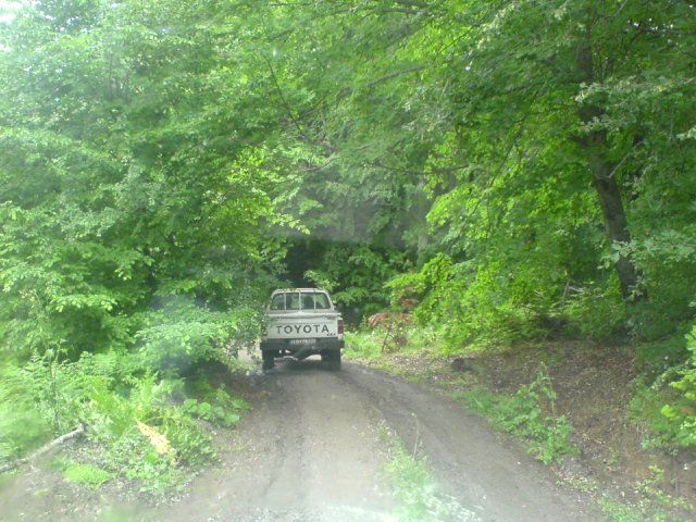 DSC01605.jpg