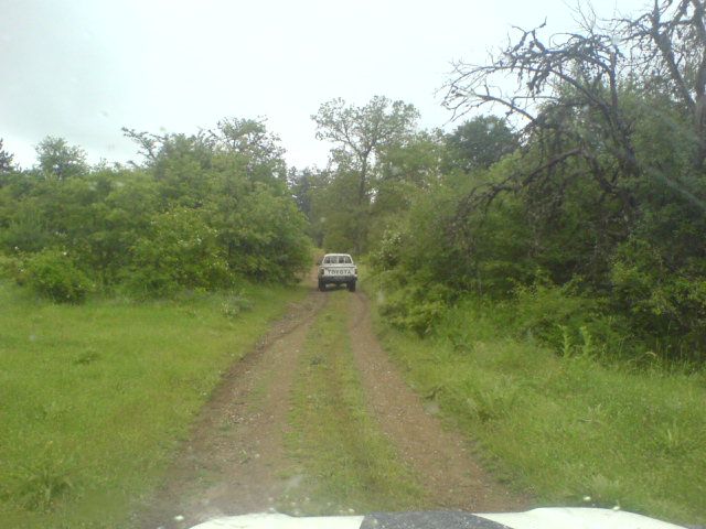 DSC01606.jpg