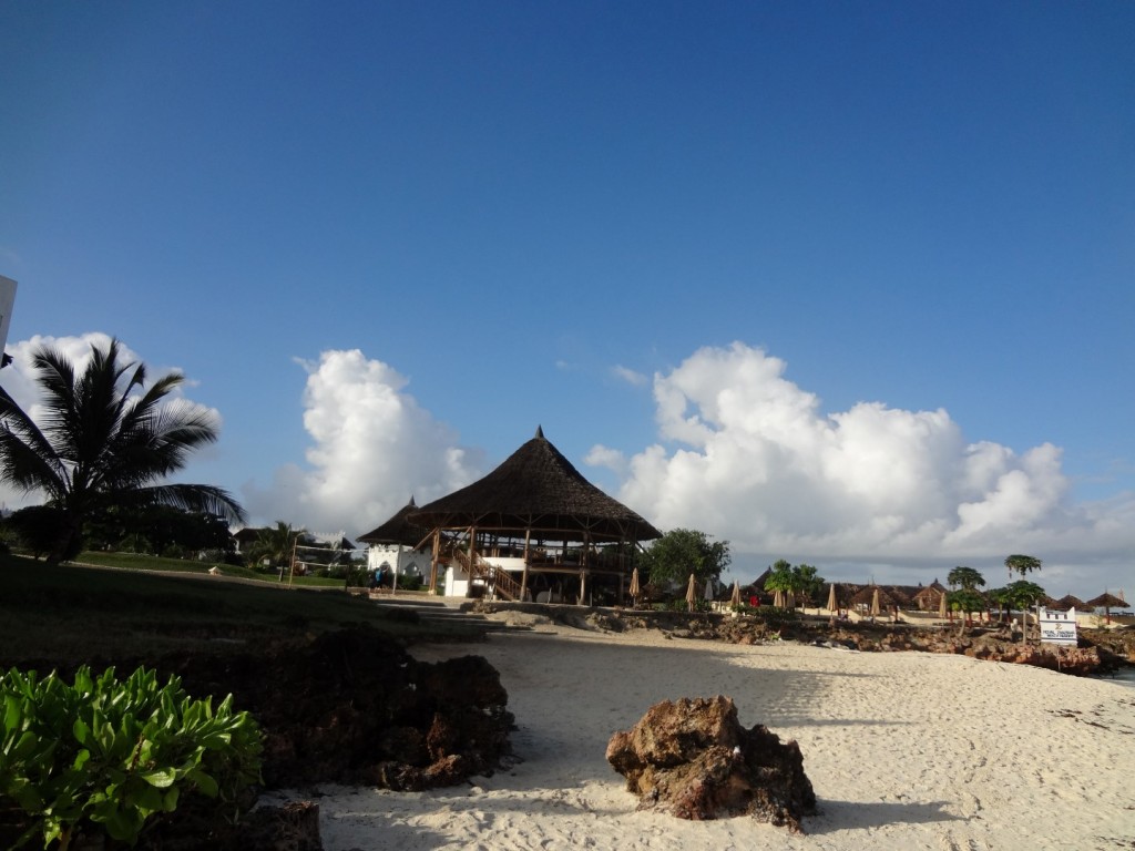 DSC01607 (Large).JPG
