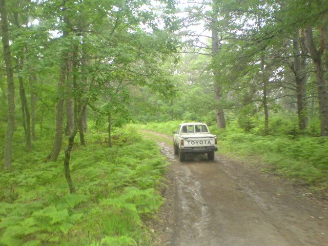 DSC01611.jpg