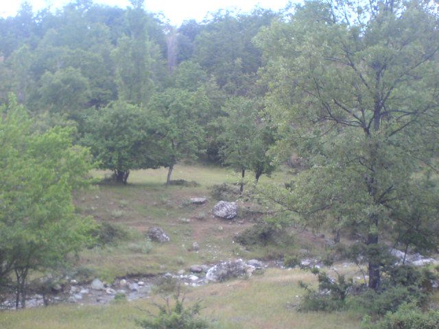 DSC01614.jpg