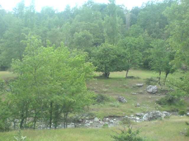 DSC01615.jpg
