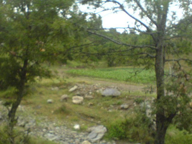 DSC01616.jpg