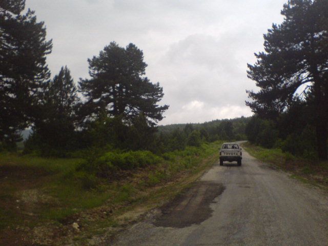 DSC01619.jpg