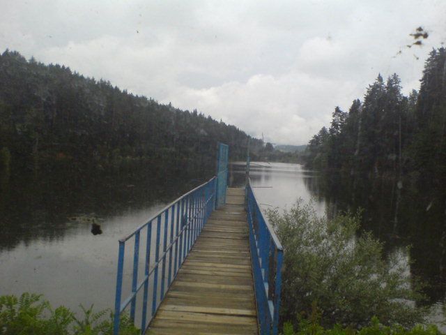 DSC01620.jpg