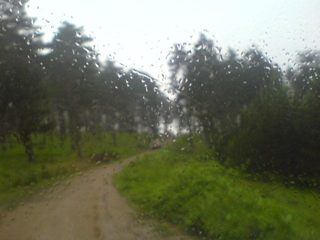 DSC01621.jpg