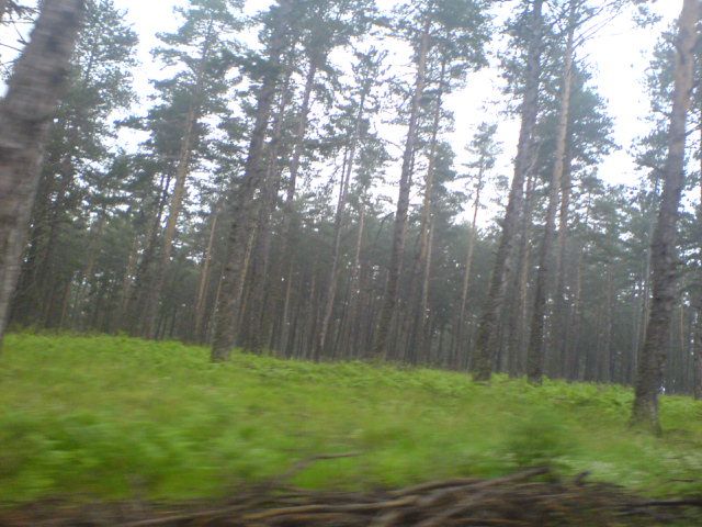 DSC01622.jpg