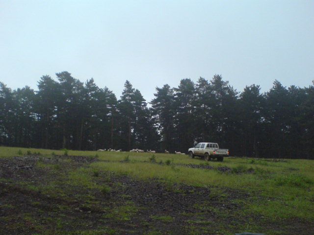 DSC01623.jpg