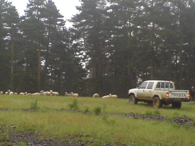 DSC01624.jpg