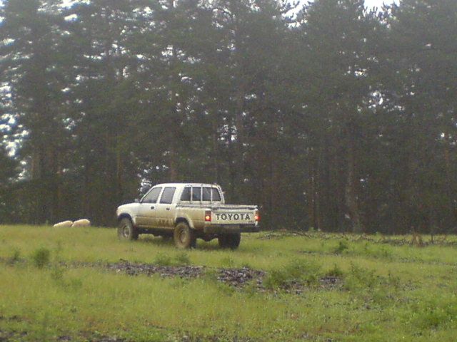 DSC01625.jpg