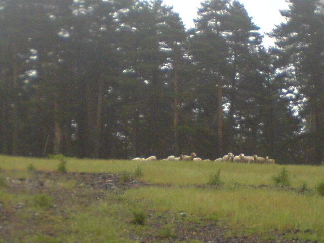 DSC01626.jpg