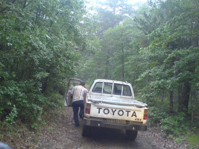DSC01628.jpg